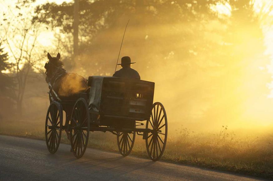 Amish man riding in a buggy at sunrise