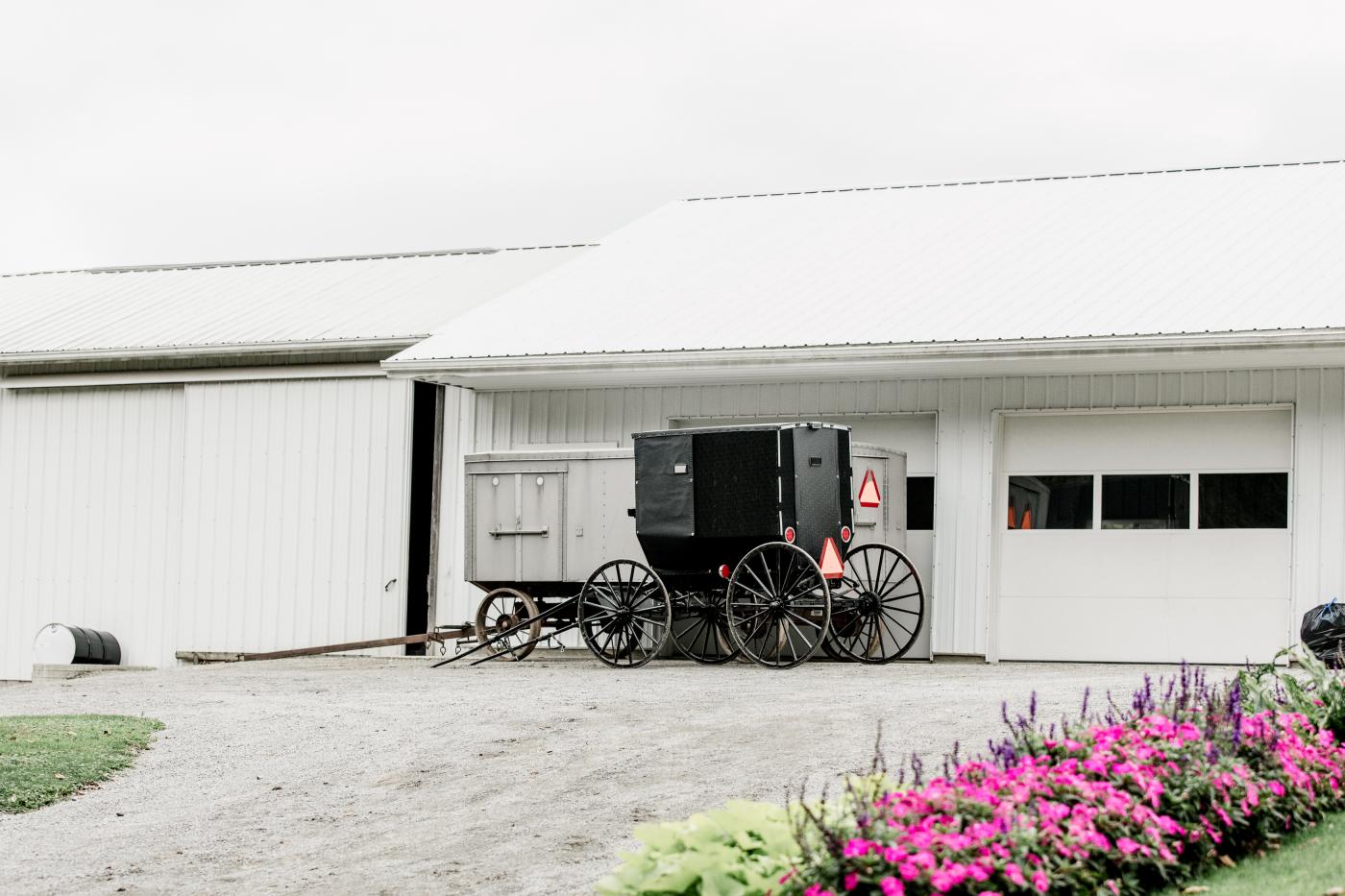buggy & barn