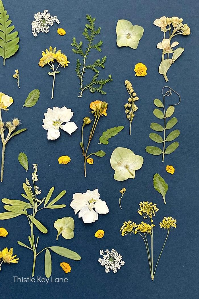 Pressed Flower Art