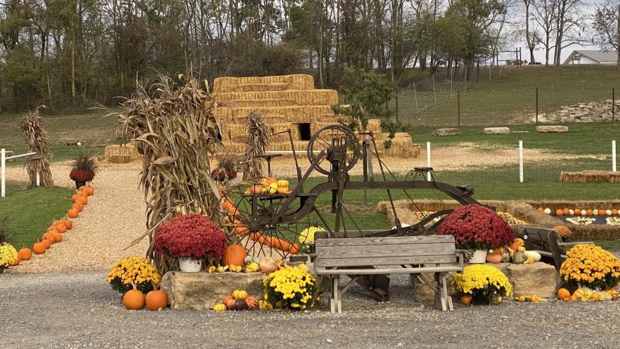 Fall Festival Weekend at The Farm