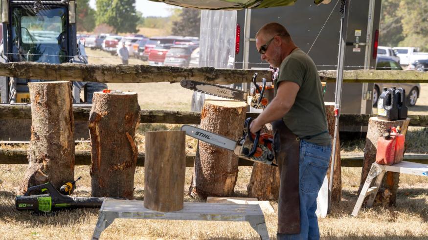 Log Cabin Days Chainsaw Carving