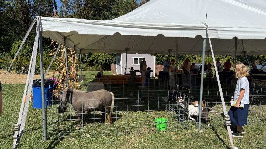 Log Cabin Days Petting Zoo