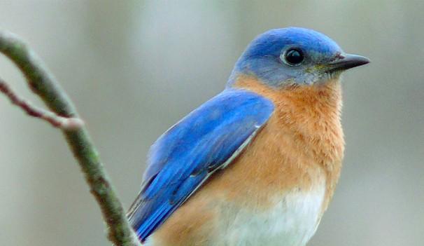 Nature & Birding Hike | Legacy Point Park