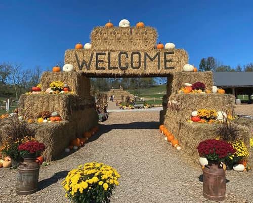 The Farm at Walnut Creek