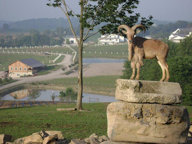 Farm at Walnut Creek, The