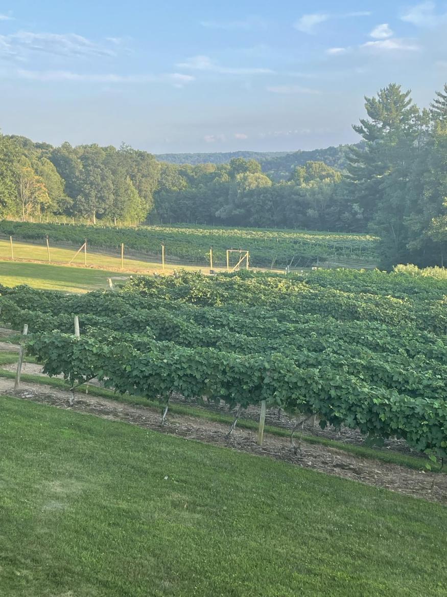 French Ridge Vineyards & Winery Visit Amish Country