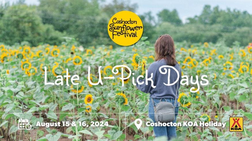 Late U-Pick Days - Coshocton Sunflower Festival 
