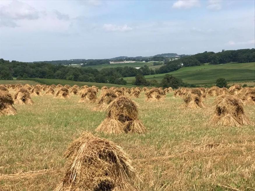 Troyer's Amish Tours