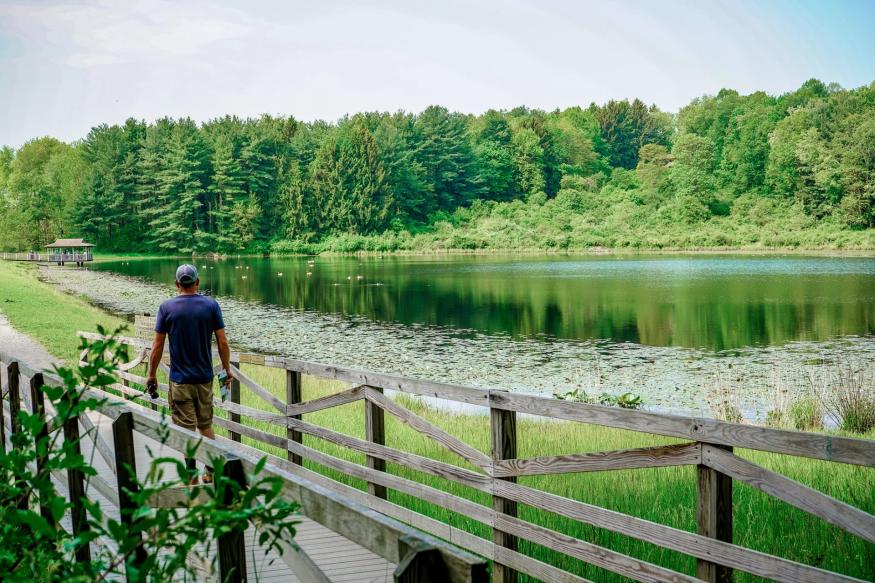 Boardwalk along the wetlands in Wayne County Ohio