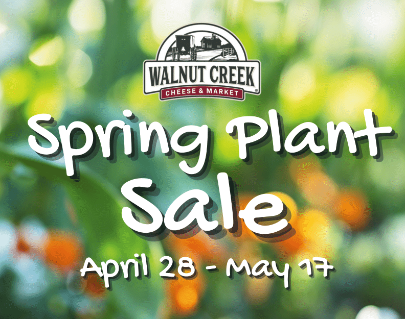 Spring Plant Sale
