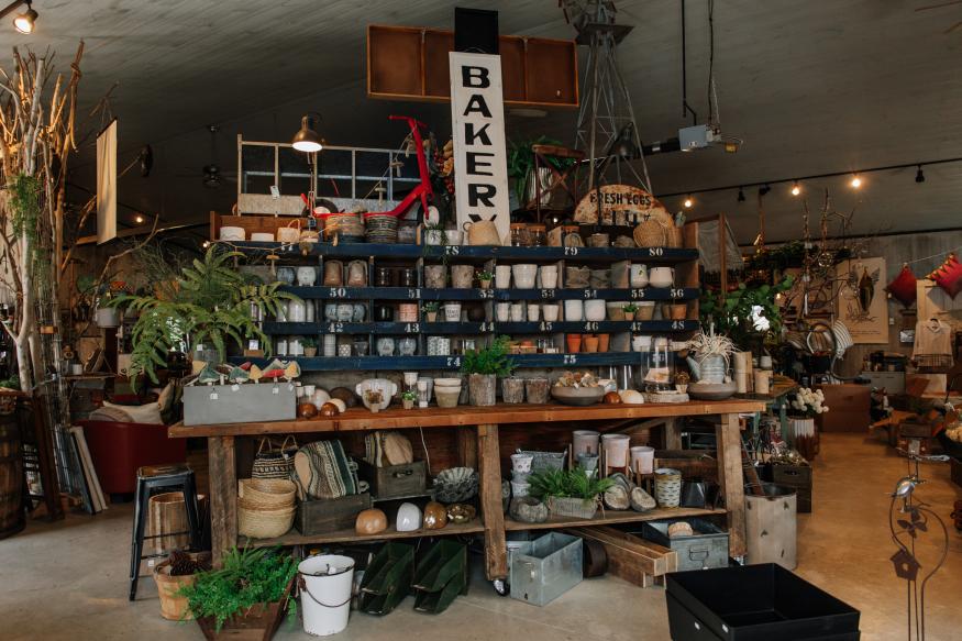 Decor & Home Goods