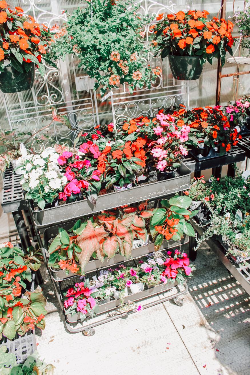 Gardens
