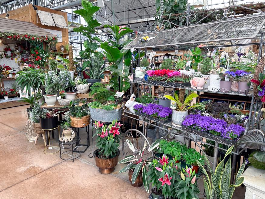 The Gardens at Country Gatherings