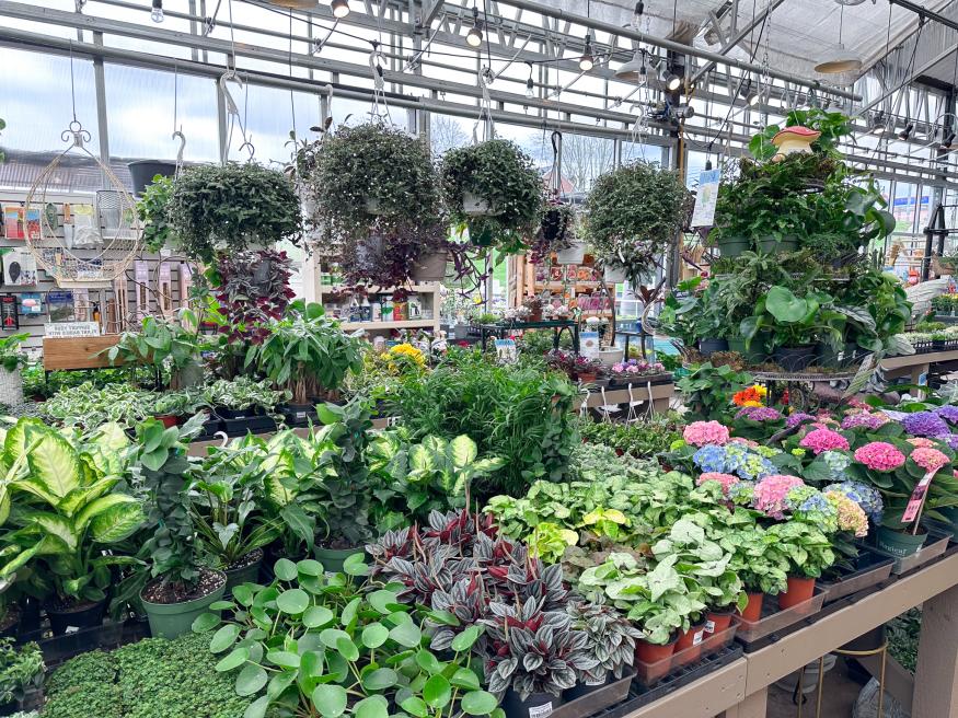 The Gardens at Country Gatherings