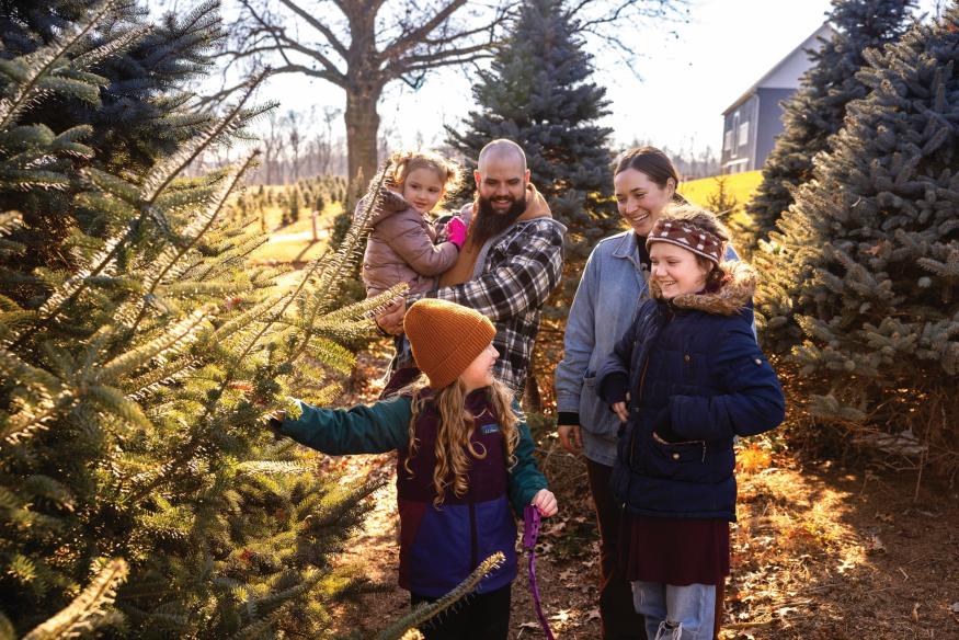Cut your own Christmas Tree in Wayne County, Ohio