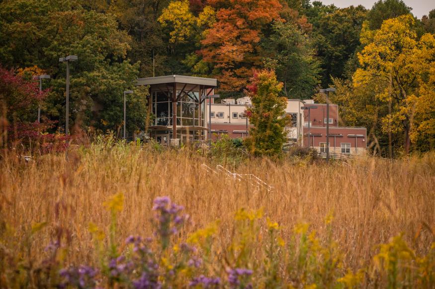 the wilderness center