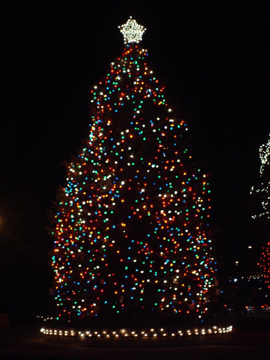 Walnut Creek Annual Christmas Tree Lighting Visit Amish Country