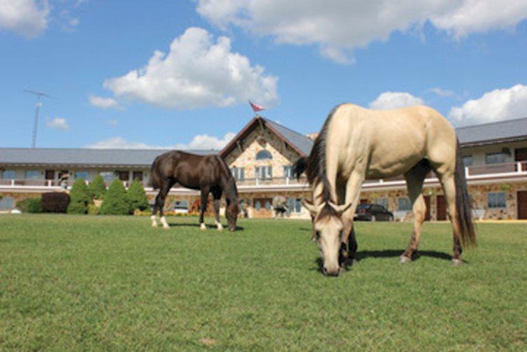 Amish Country Riding Stables