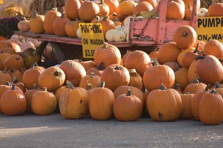 Hershberger's Farm & Bakery Ltd