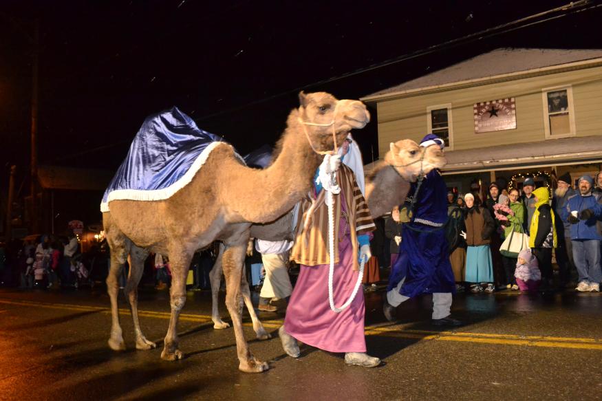 camel and wisemen