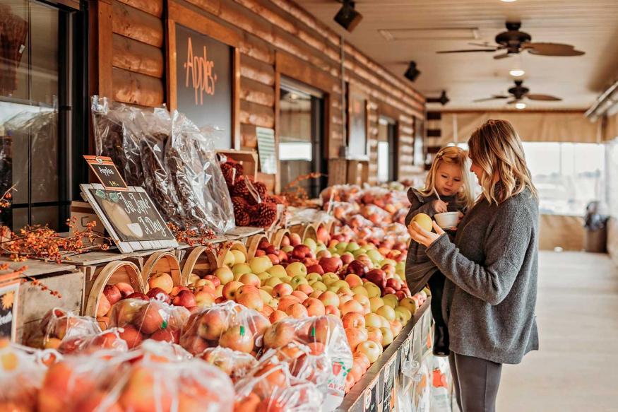 Mother and young daughter shopping for apples at an outdoor fruit stand