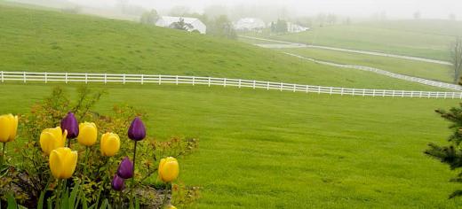 Charm Countryview Inn