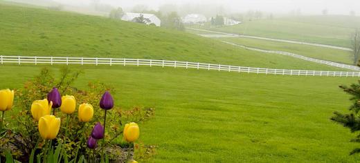 Charm Countryview Inn