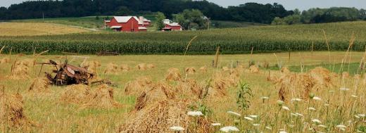 Amish Country Adventures by Country Coach