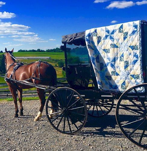 Amish Heritage Tours