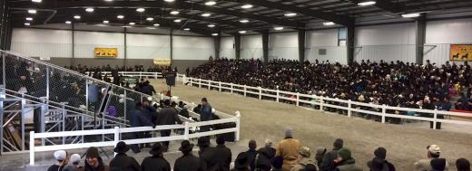 Mt. Hope Auction