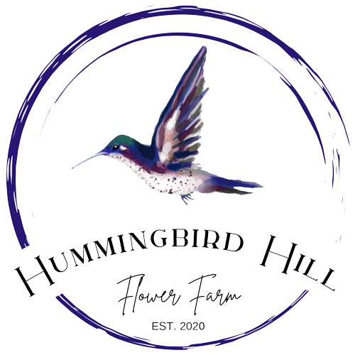 Hummingbird Hill Flower Farm 
