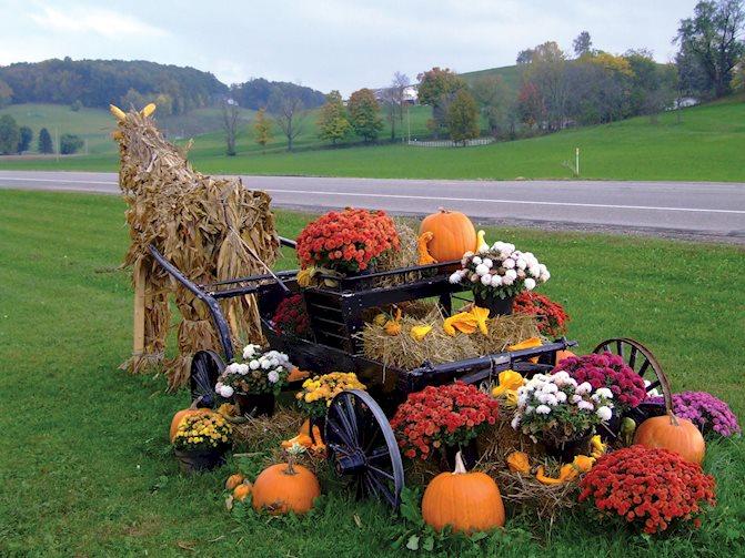 Farm At Walnut Creek The Visit Amish Country