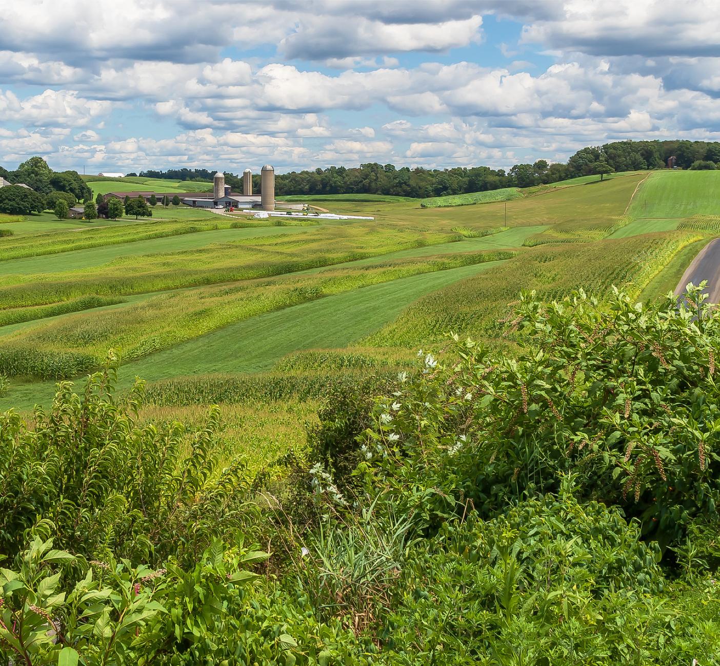 Hills of amish country