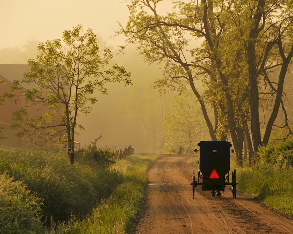 Buggy going down the road