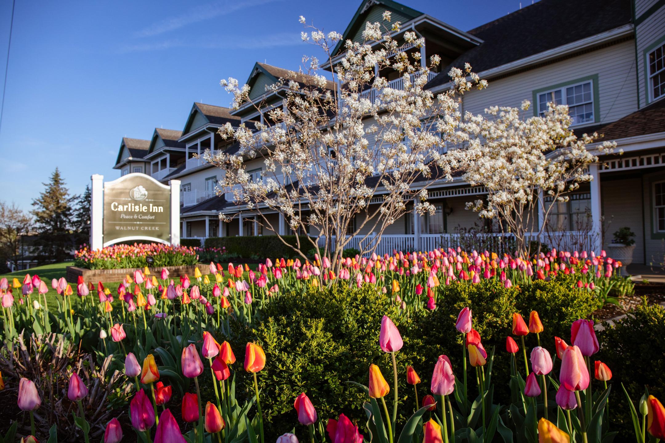 Flowers in front of Carlisle Inn located in Walnut Creek, Ohio