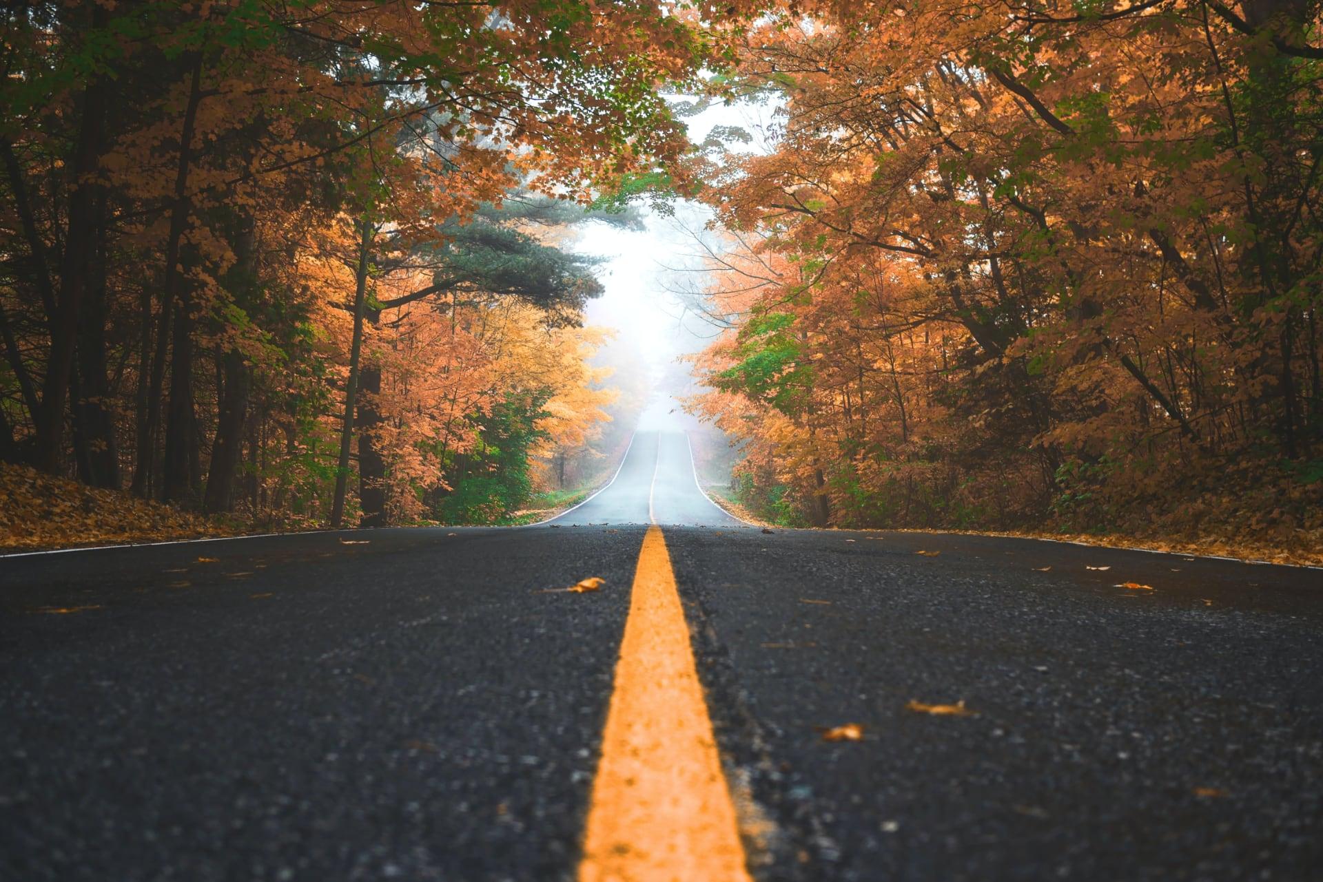 View down country road during Fall