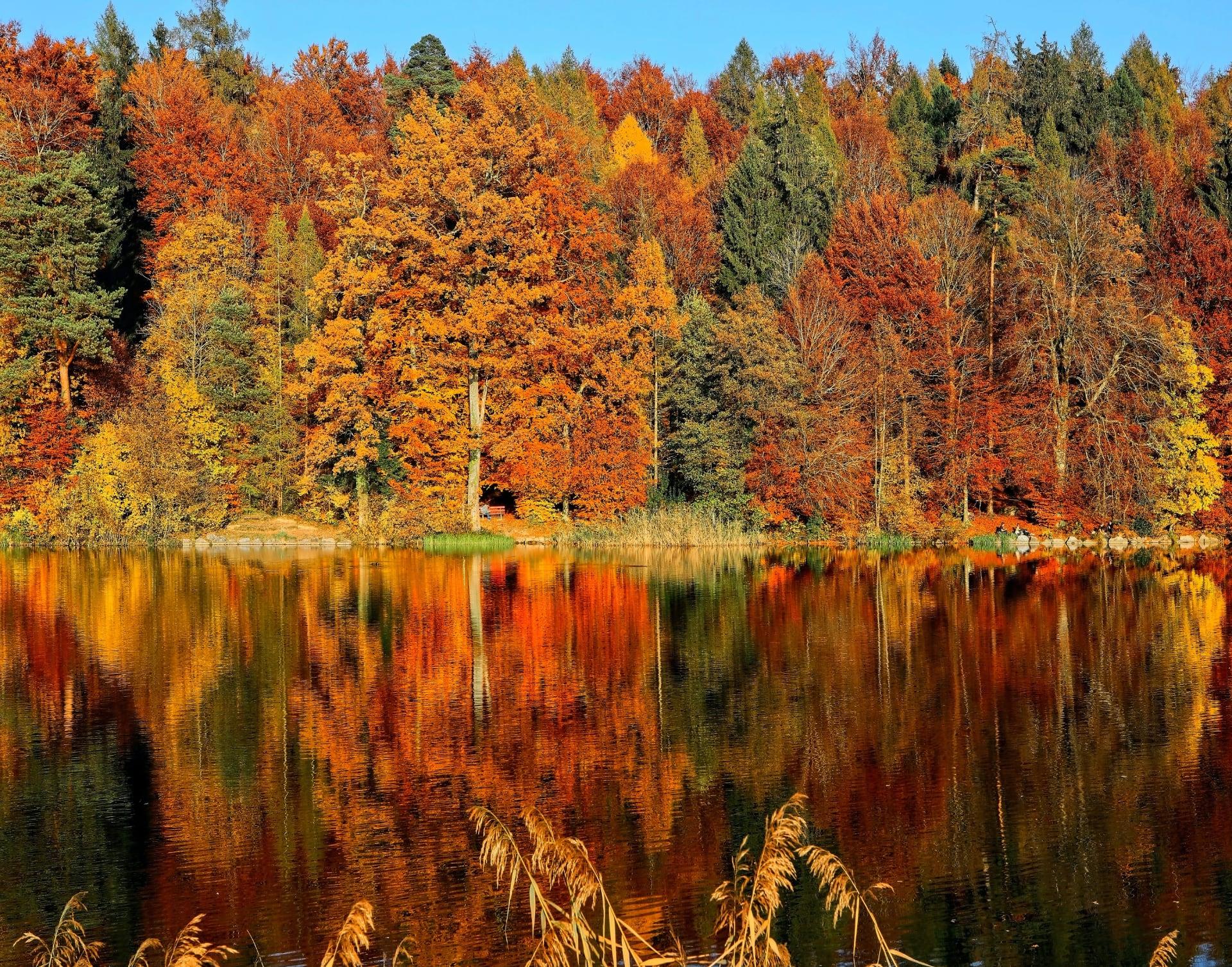 Fall colors by a lake