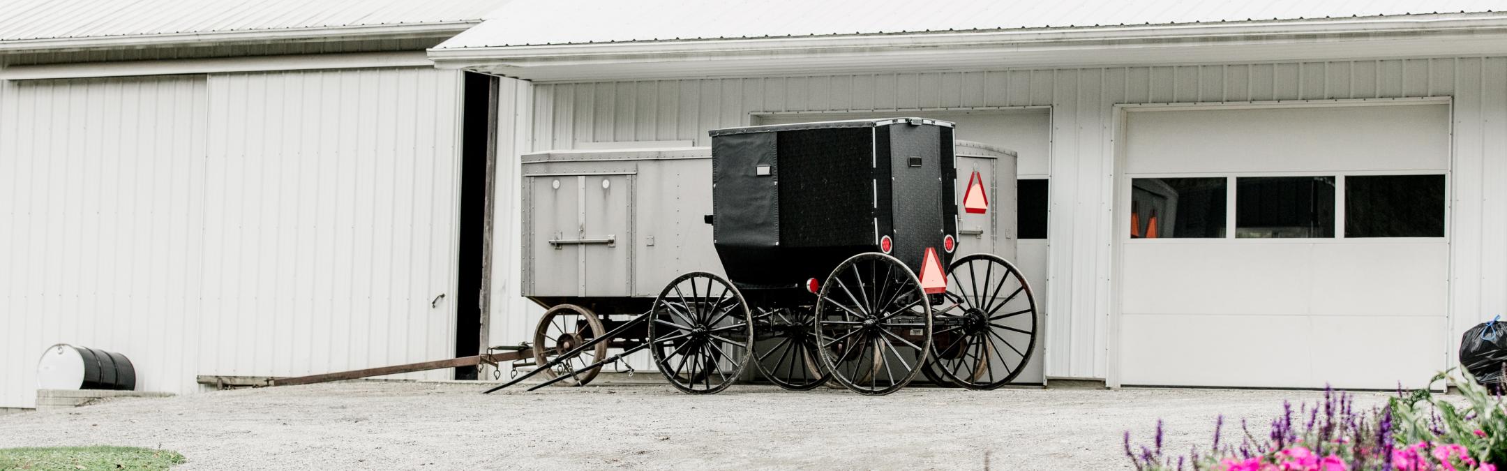 barn & buggy