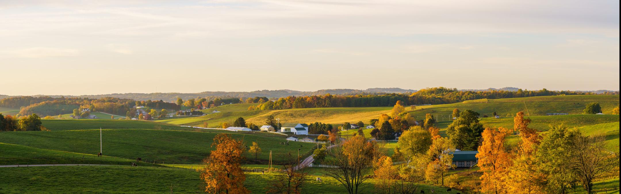 Holmes Co Pano