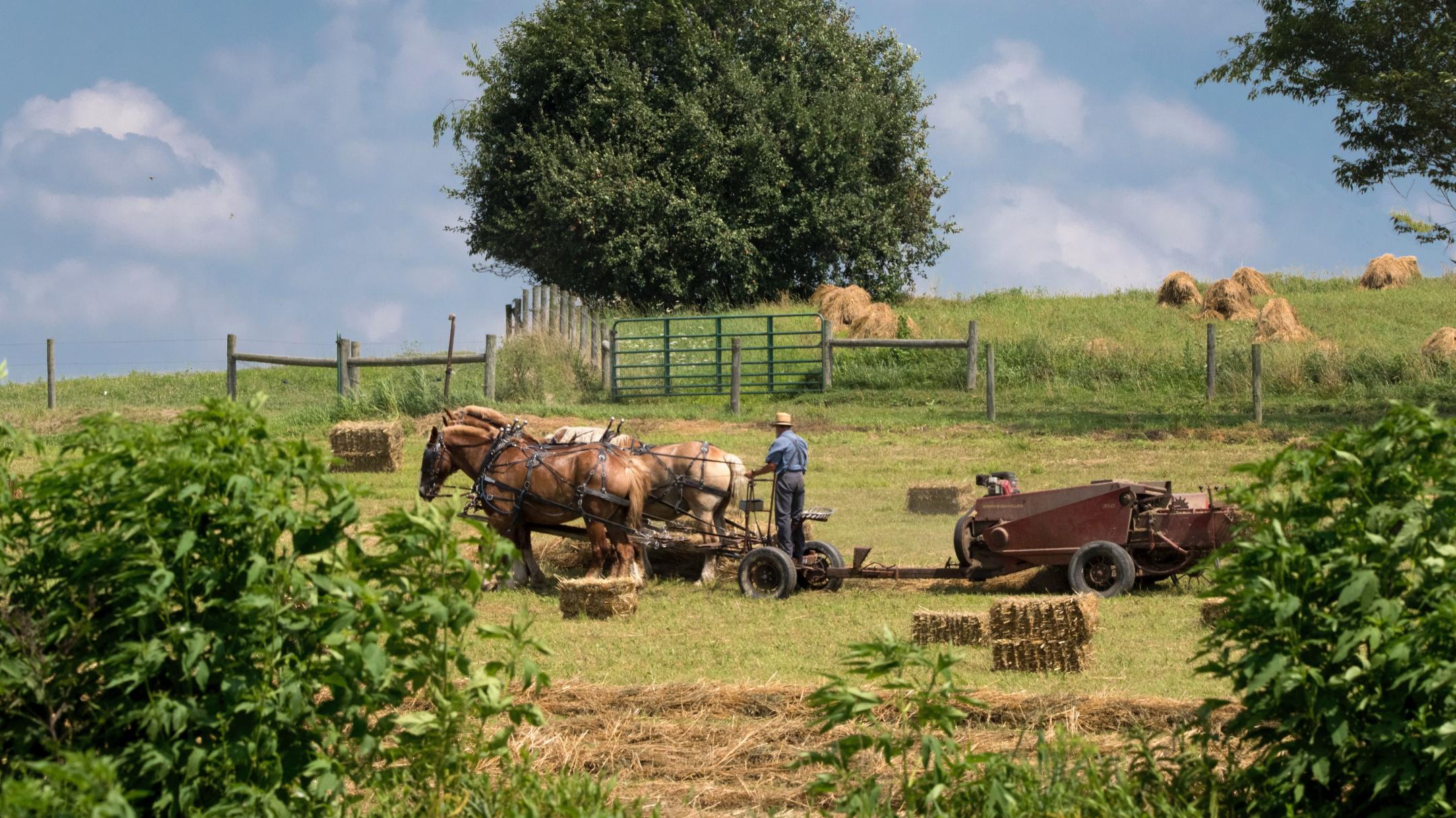 farm field