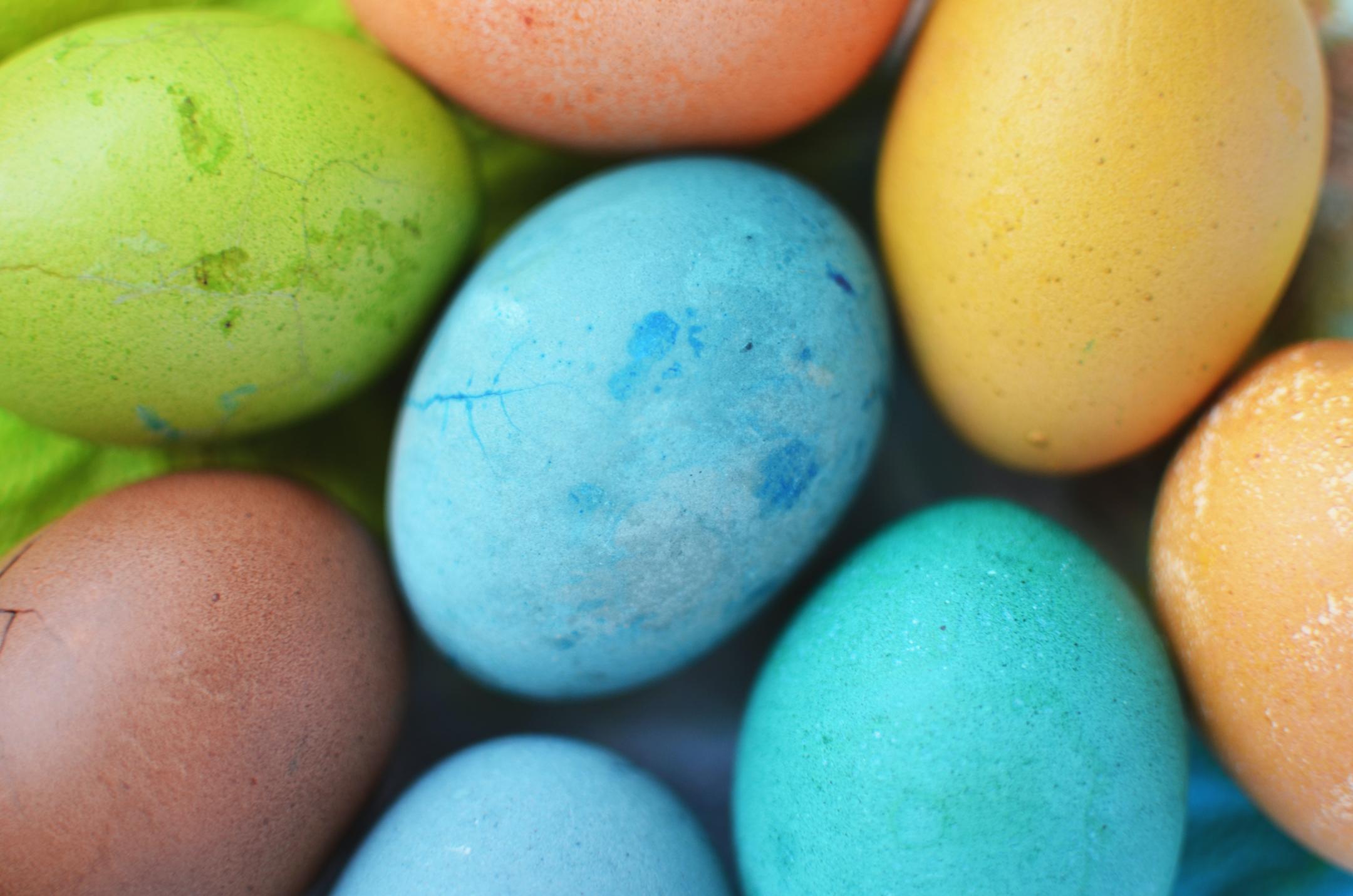 colored eggs