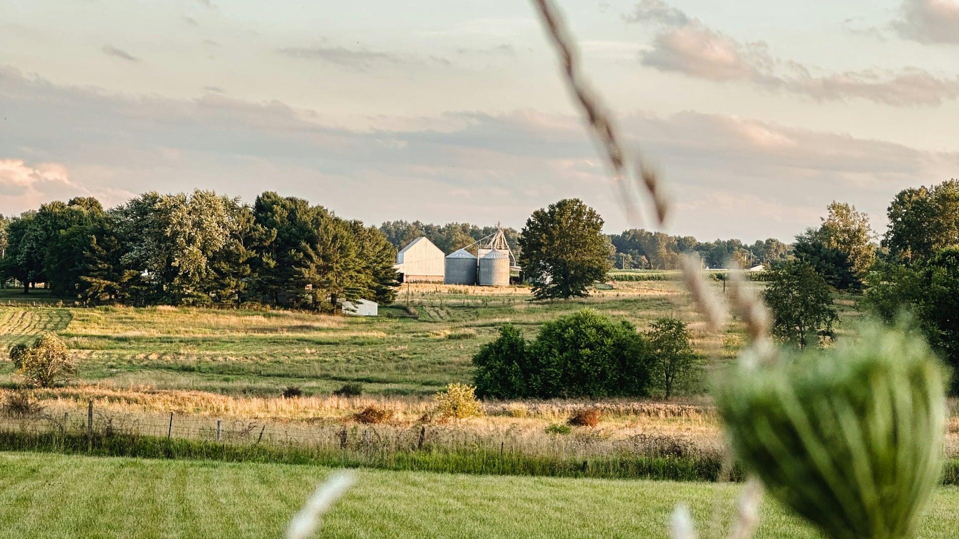 Summer field in Ohio
