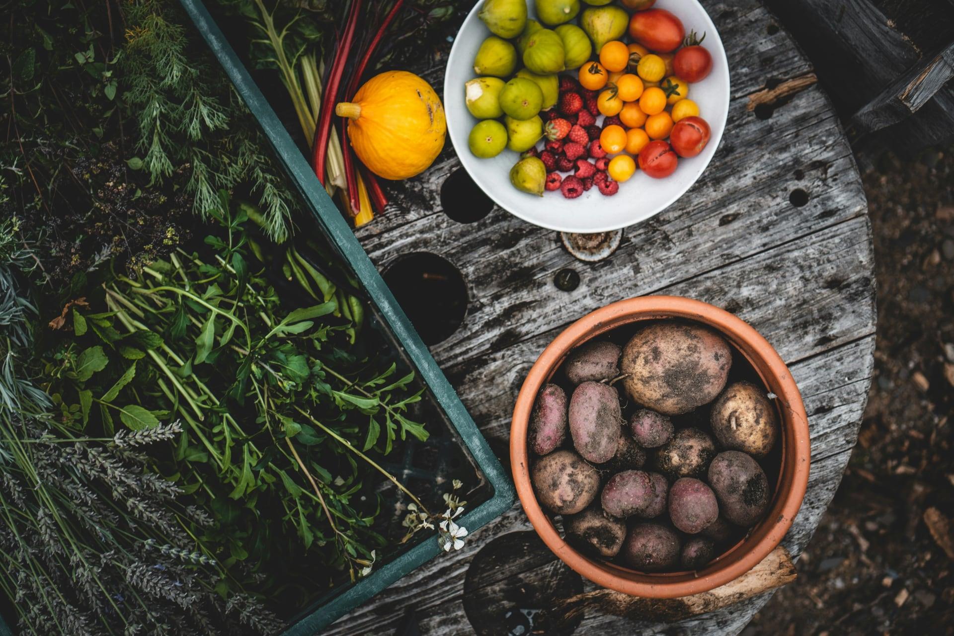 Garden harvested fruits, vegetables, and herbs