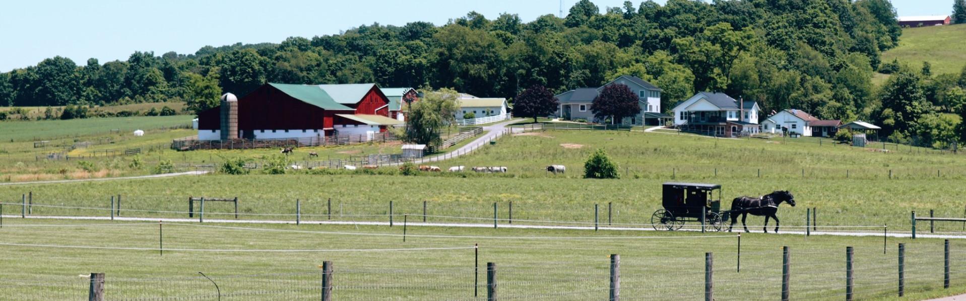 farm