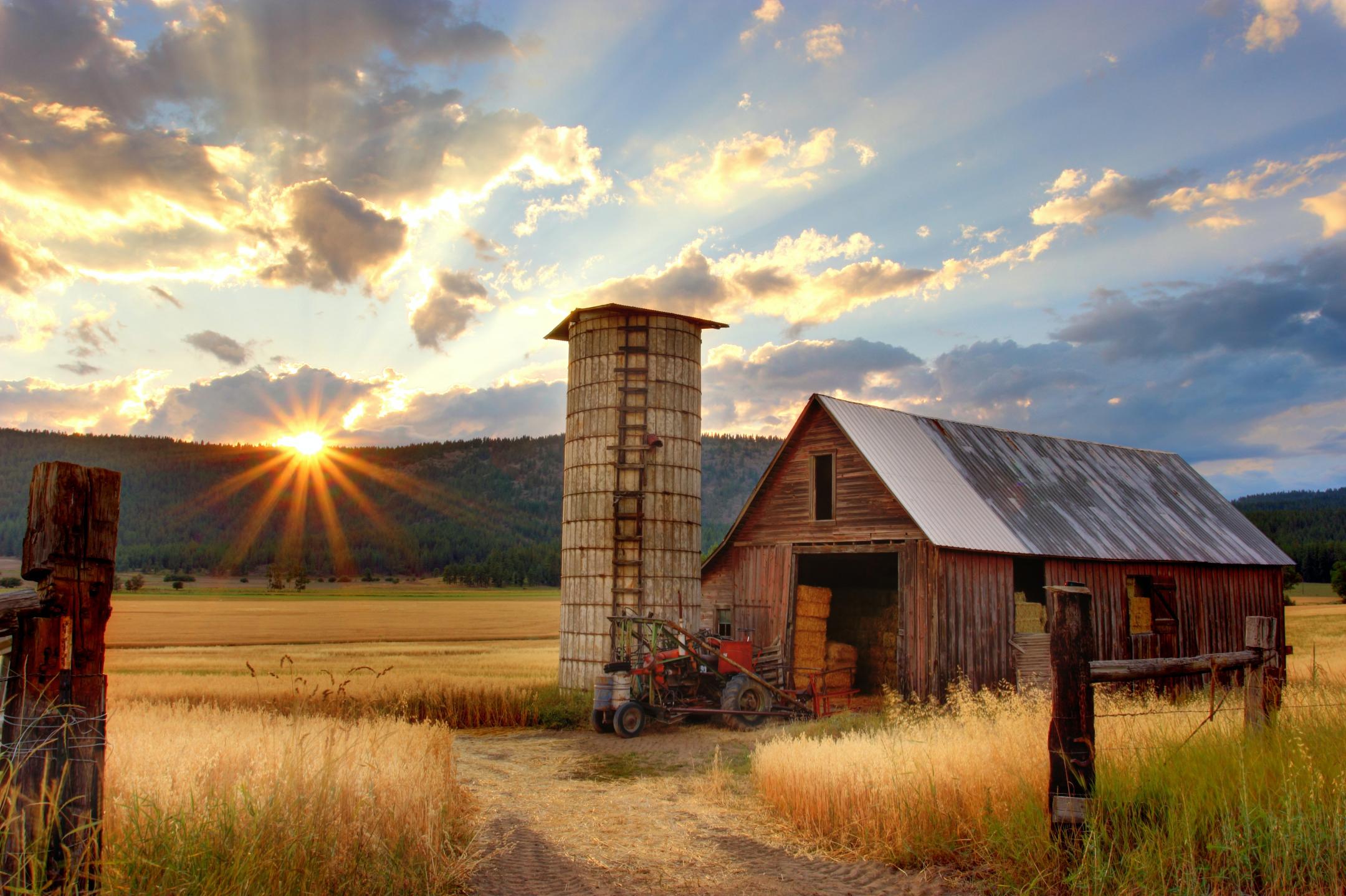 Farm